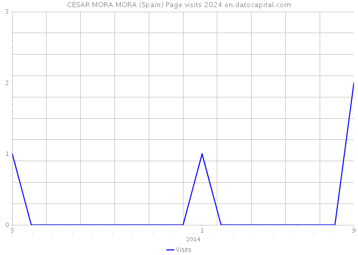 CESAR MORA MORA (Spain) Page visits 2024 
