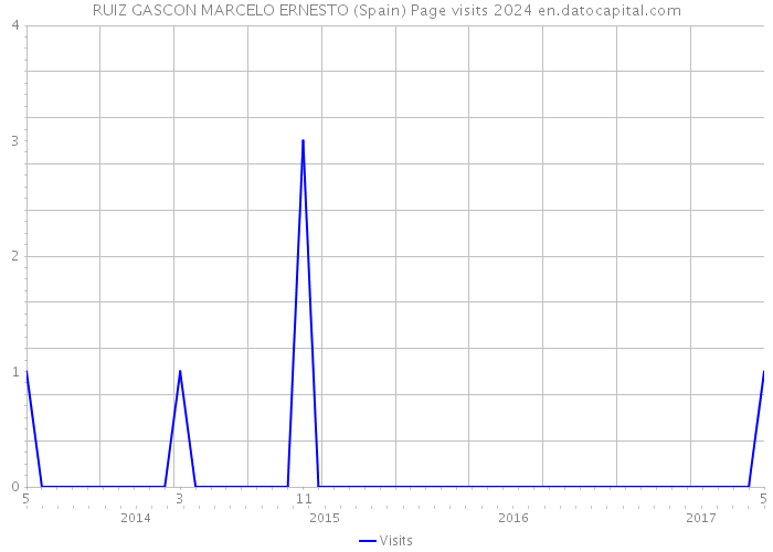 RUIZ GASCON MARCELO ERNESTO (Spain) Page visits 2024 