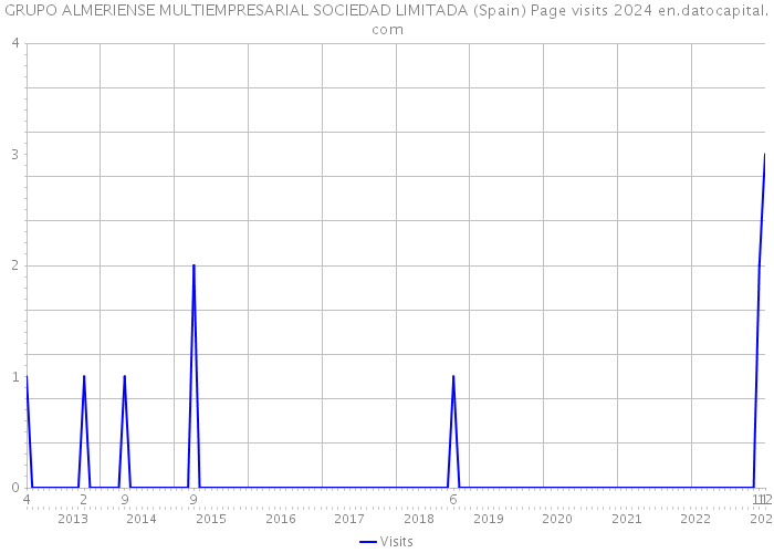 GRUPO ALMERIENSE MULTIEMPRESARIAL SOCIEDAD LIMITADA (Spain) Page visits 2024 