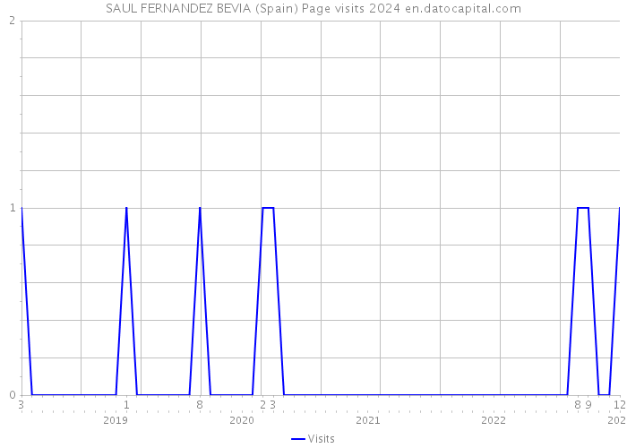 SAUL FERNANDEZ BEVIA (Spain) Page visits 2024 