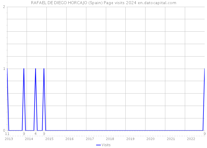 RAFAEL DE DIEGO HORCAJO (Spain) Page visits 2024 