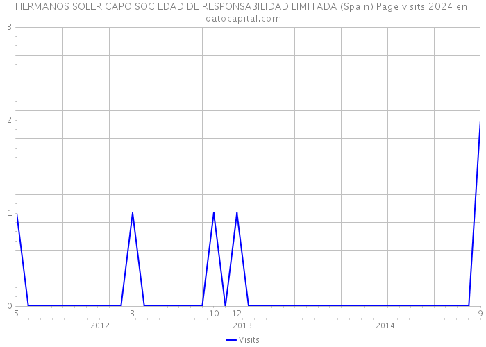 HERMANOS SOLER CAPO SOCIEDAD DE RESPONSABILIDAD LIMITADA (Spain) Page visits 2024 