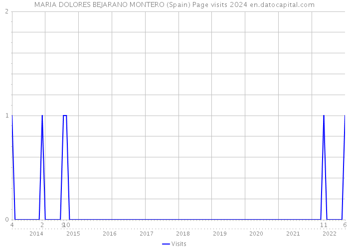 MARIA DOLORES BEJARANO MONTERO (Spain) Page visits 2024 