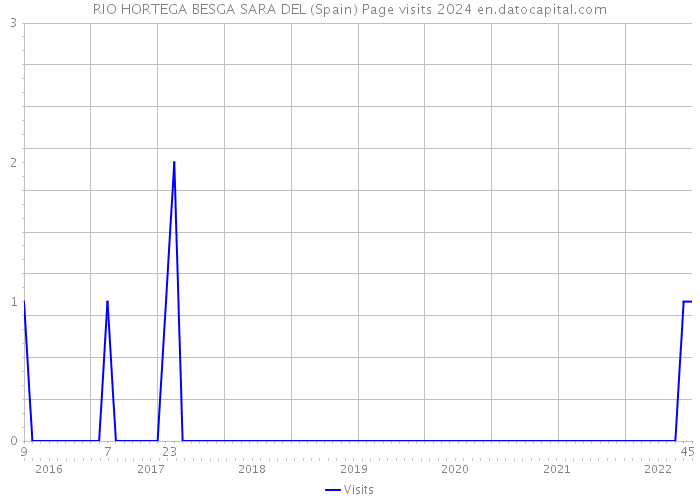 RIO HORTEGA BESGA SARA DEL (Spain) Page visits 2024 