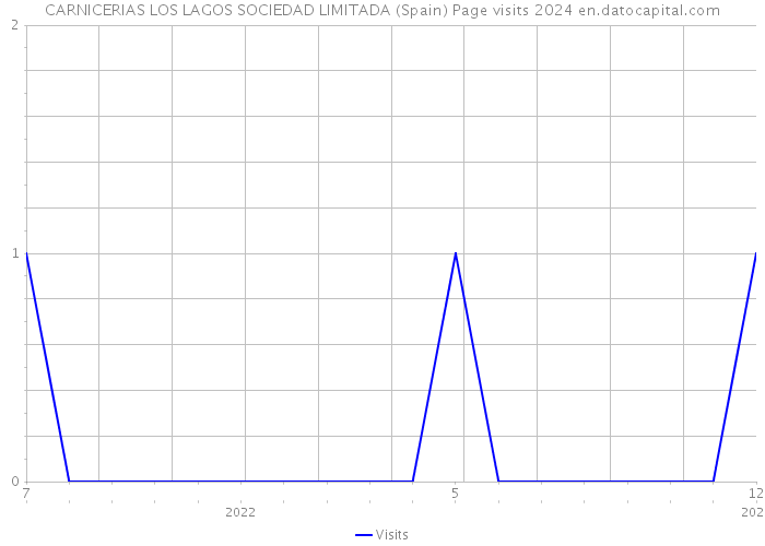 CARNICERIAS LOS LAGOS SOCIEDAD LIMITADA (Spain) Page visits 2024 