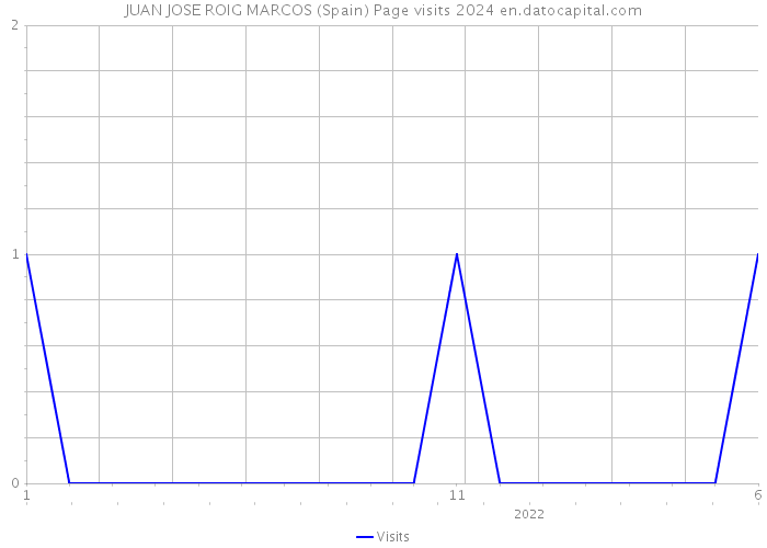 JUAN JOSE ROIG MARCOS (Spain) Page visits 2024 