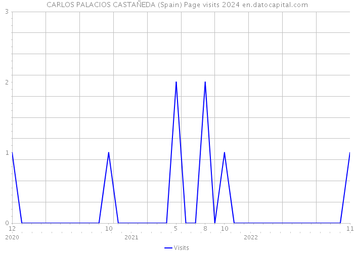 CARLOS PALACIOS CASTAÑEDA (Spain) Page visits 2024 