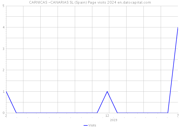 CARNICAS -CANARIAS SL (Spain) Page visits 2024 