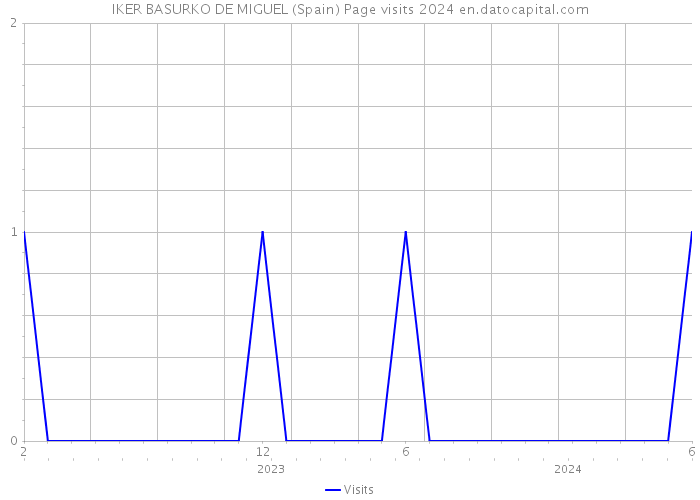 IKER BASURKO DE MIGUEL (Spain) Page visits 2024 