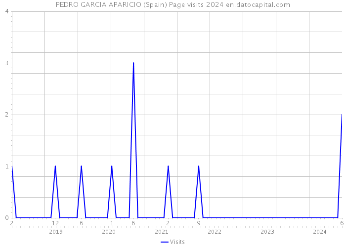PEDRO GARCIA APARICIO (Spain) Page visits 2024 