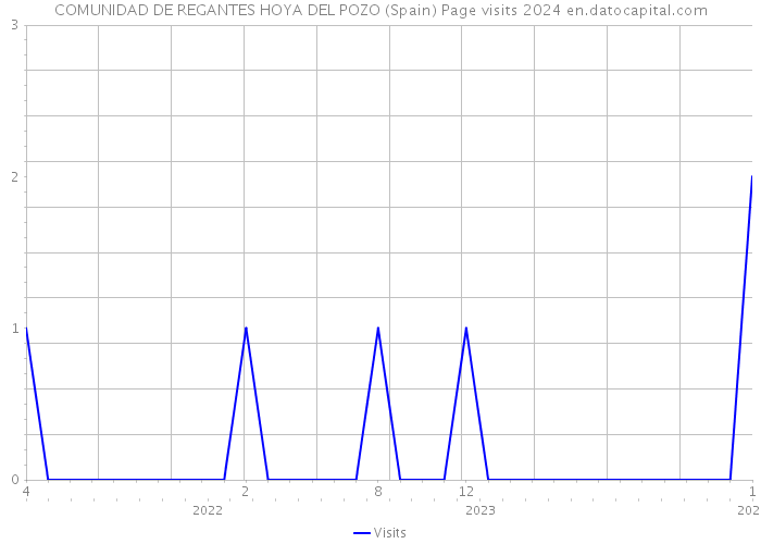 COMUNIDAD DE REGANTES HOYA DEL POZO (Spain) Page visits 2024 