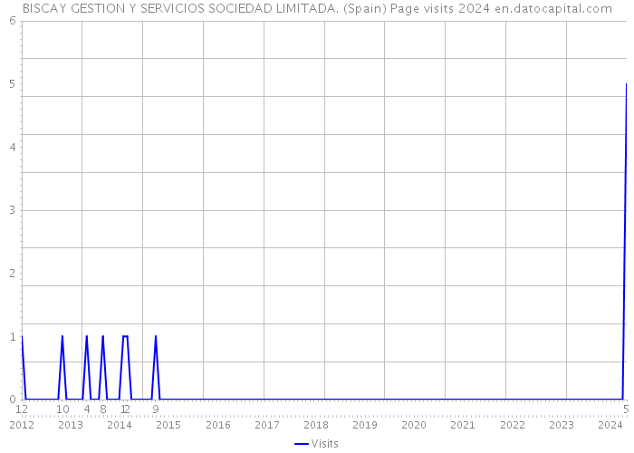 BISCAY GESTION Y SERVICIOS SOCIEDAD LIMITADA. (Spain) Page visits 2024 