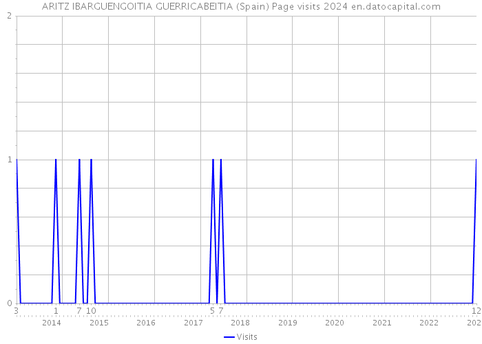 ARITZ IBARGUENGOITIA GUERRICABEITIA (Spain) Page visits 2024 