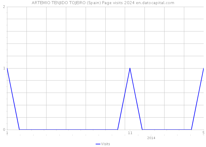 ARTEMIO TENJIDO TOJEIRO (Spain) Page visits 2024 