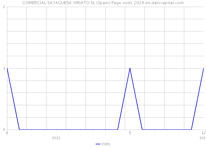 COMERCIAL SAYAGUESA VIRIATO SL (Spain) Page visits 2024 