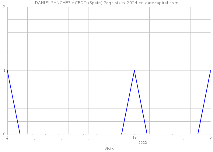 DANIEL SANCHEZ ACEDO (Spain) Page visits 2024 