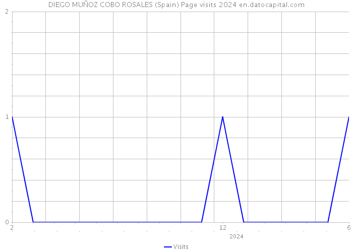 DIEGO MUÑOZ COBO ROSALES (Spain) Page visits 2024 