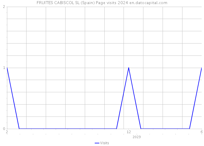 FRUITES CABISCOL SL (Spain) Page visits 2024 