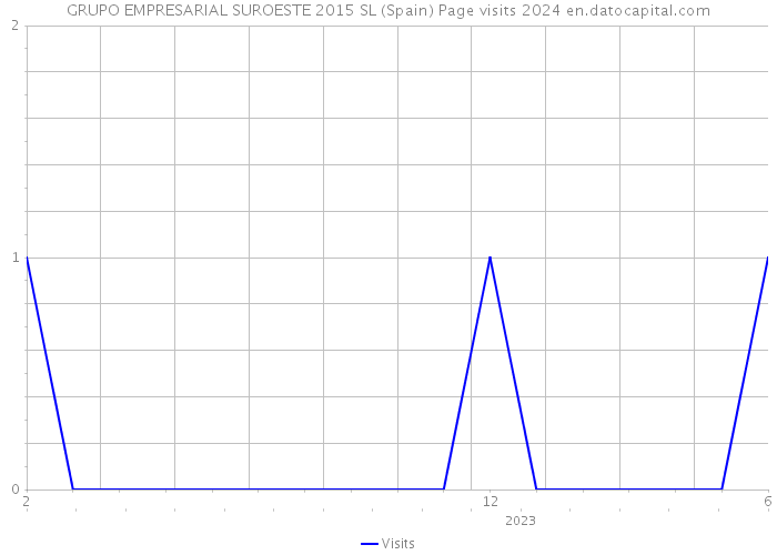 GRUPO EMPRESARIAL SUROESTE 2015 SL (Spain) Page visits 2024 