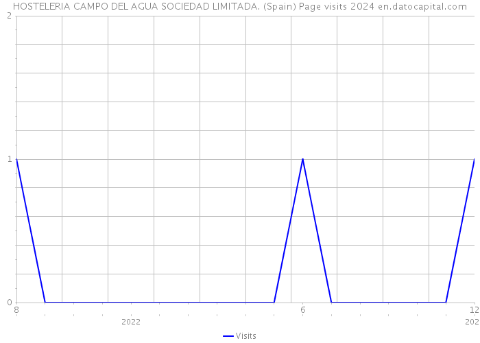 HOSTELERIA CAMPO DEL AGUA SOCIEDAD LIMITADA. (Spain) Page visits 2024 