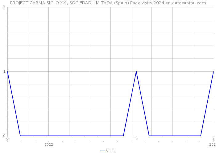 PROJECT CARMA SIGLO XXI, SOCIEDAD LIMITADA (Spain) Page visits 2024 