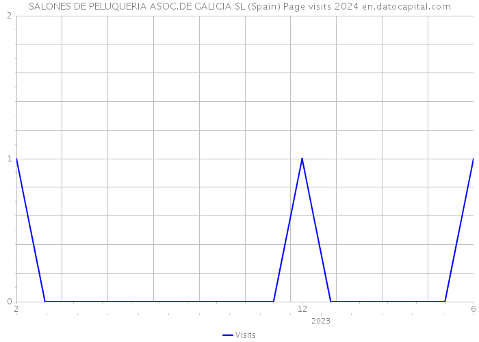 SALONES DE PELUQUERIA ASOC.DE GALICIA SL (Spain) Page visits 2024 