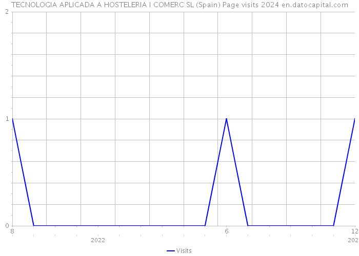 TECNOLOGIA APLICADA A HOSTELERIA I COMERC SL (Spain) Page visits 2024 