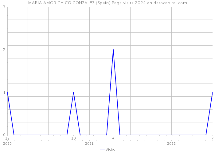 MARIA AMOR CHICO GONZALEZ (Spain) Page visits 2024 