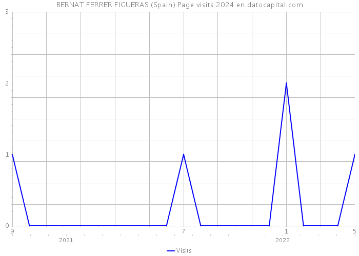 BERNAT FERRER FIGUERAS (Spain) Page visits 2024 