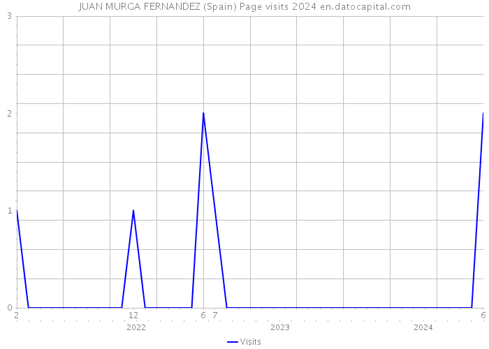 JUAN MURGA FERNANDEZ (Spain) Page visits 2024 