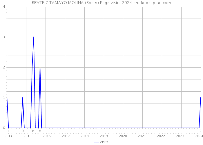 BEATRIZ TAMAYO MOLINA (Spain) Page visits 2024 