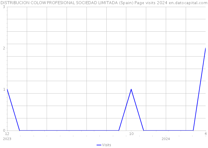 DISTRIBUCION COLOW PROFESIONAL SOCIEDAD LIMITADA (Spain) Page visits 2024 