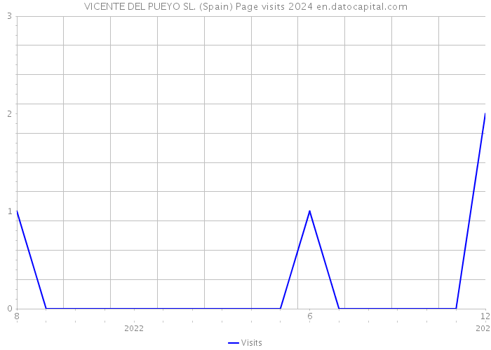 VICENTE DEL PUEYO SL. (Spain) Page visits 2024 