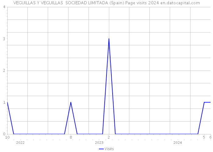VEGUILLAS Y VEGUILLAS SOCIEDAD LIMITADA (Spain) Page visits 2024 