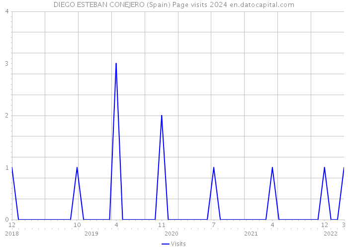 DIEGO ESTEBAN CONEJERO (Spain) Page visits 2024 