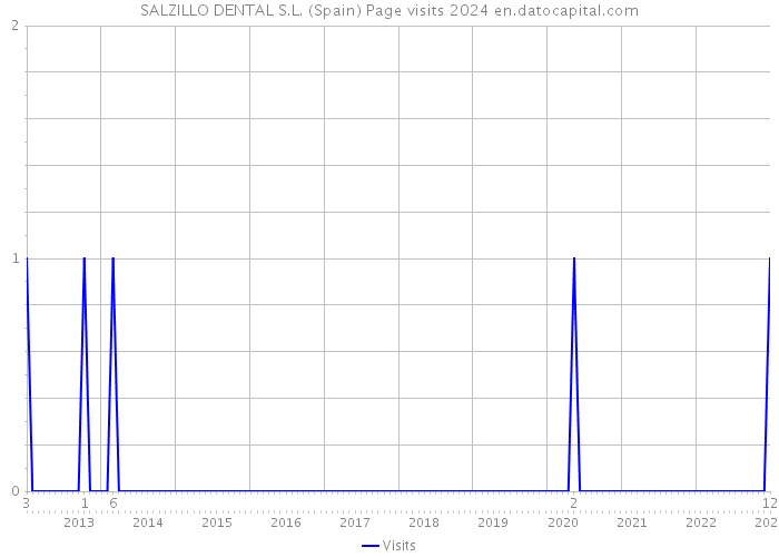 SALZILLO DENTAL S.L. (Spain) Page visits 2024 