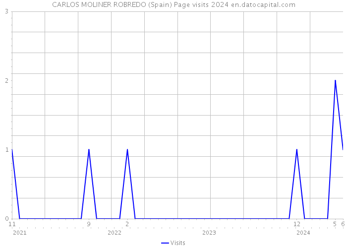 CARLOS MOLINER ROBREDO (Spain) Page visits 2024 