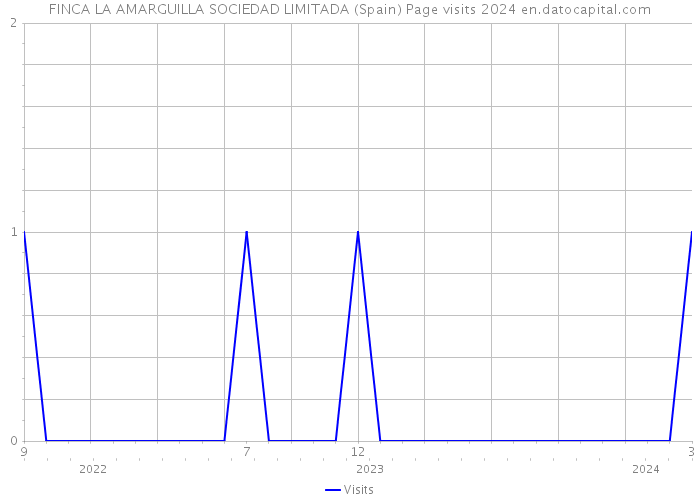 FINCA LA AMARGUILLA SOCIEDAD LIMITADA (Spain) Page visits 2024 