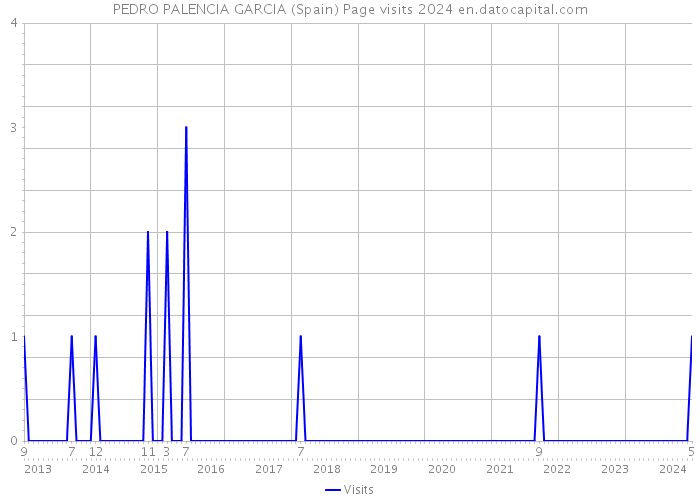 PEDRO PALENCIA GARCIA (Spain) Page visits 2024 