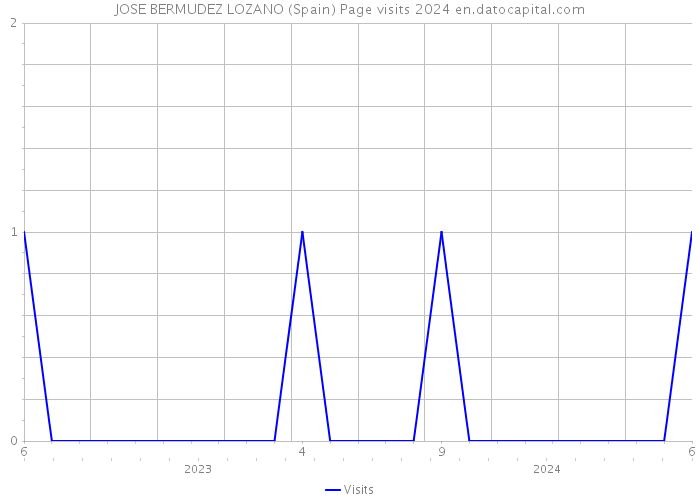 JOSE BERMUDEZ LOZANO (Spain) Page visits 2024 