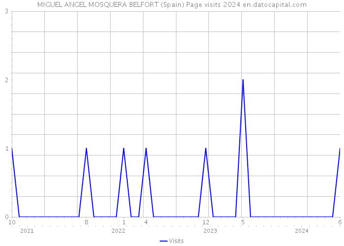 MIGUEL ANGEL MOSQUERA BELFORT (Spain) Page visits 2024 