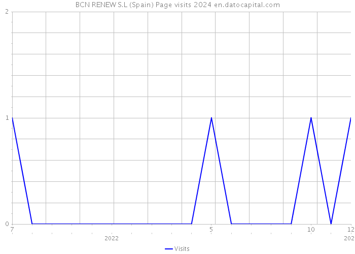 BCN RENEW S.L (Spain) Page visits 2024 