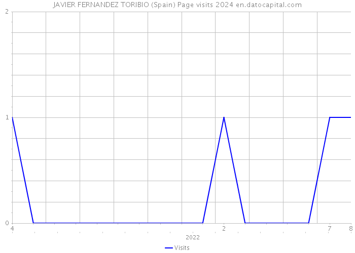 JAVIER FERNANDEZ TORIBIO (Spain) Page visits 2024 