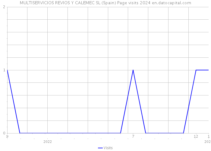 MULTISERVICIOS REVIOS Y CALEMEC SL (Spain) Page visits 2024 