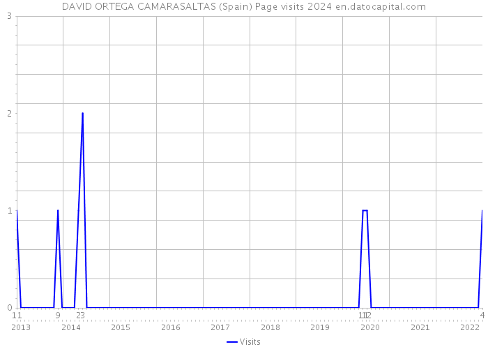 DAVID ORTEGA CAMARASALTAS (Spain) Page visits 2024 