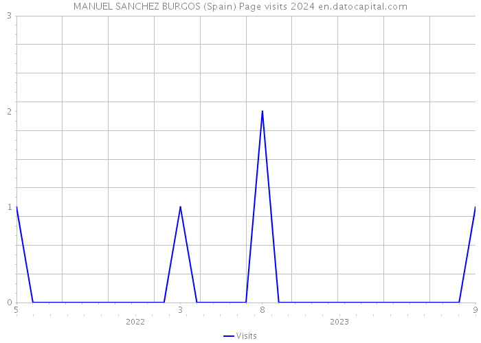 MANUEL SANCHEZ BURGOS (Spain) Page visits 2024 