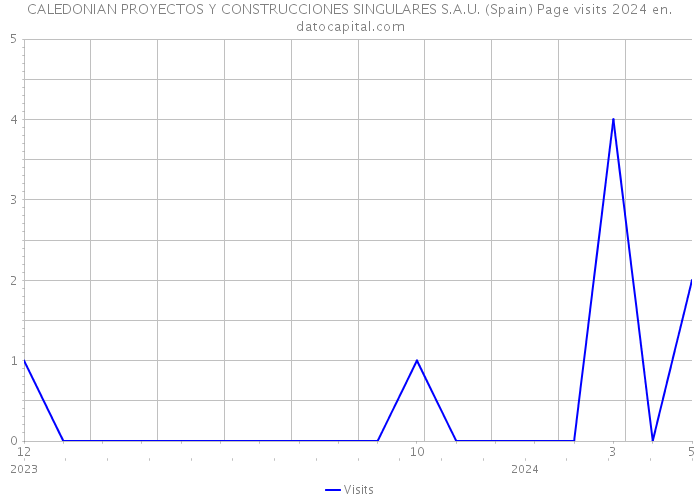 CALEDONIAN PROYECTOS Y CONSTRUCCIONES SINGULARES S.A.U. (Spain) Page visits 2024 