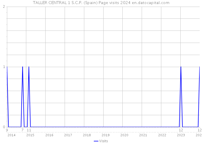 TALLER CENTRAL 1 S.C.P. (Spain) Page visits 2024 