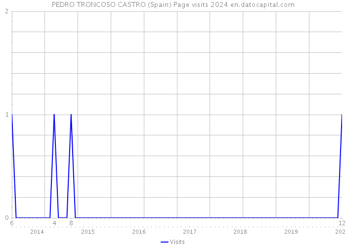 PEDRO TRONCOSO CASTRO (Spain) Page visits 2024 