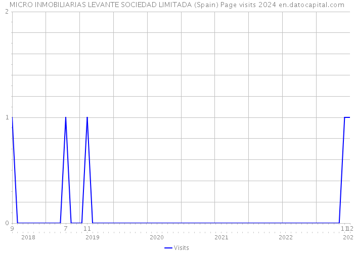 MICRO INMOBILIARIAS LEVANTE SOCIEDAD LIMITADA (Spain) Page visits 2024 